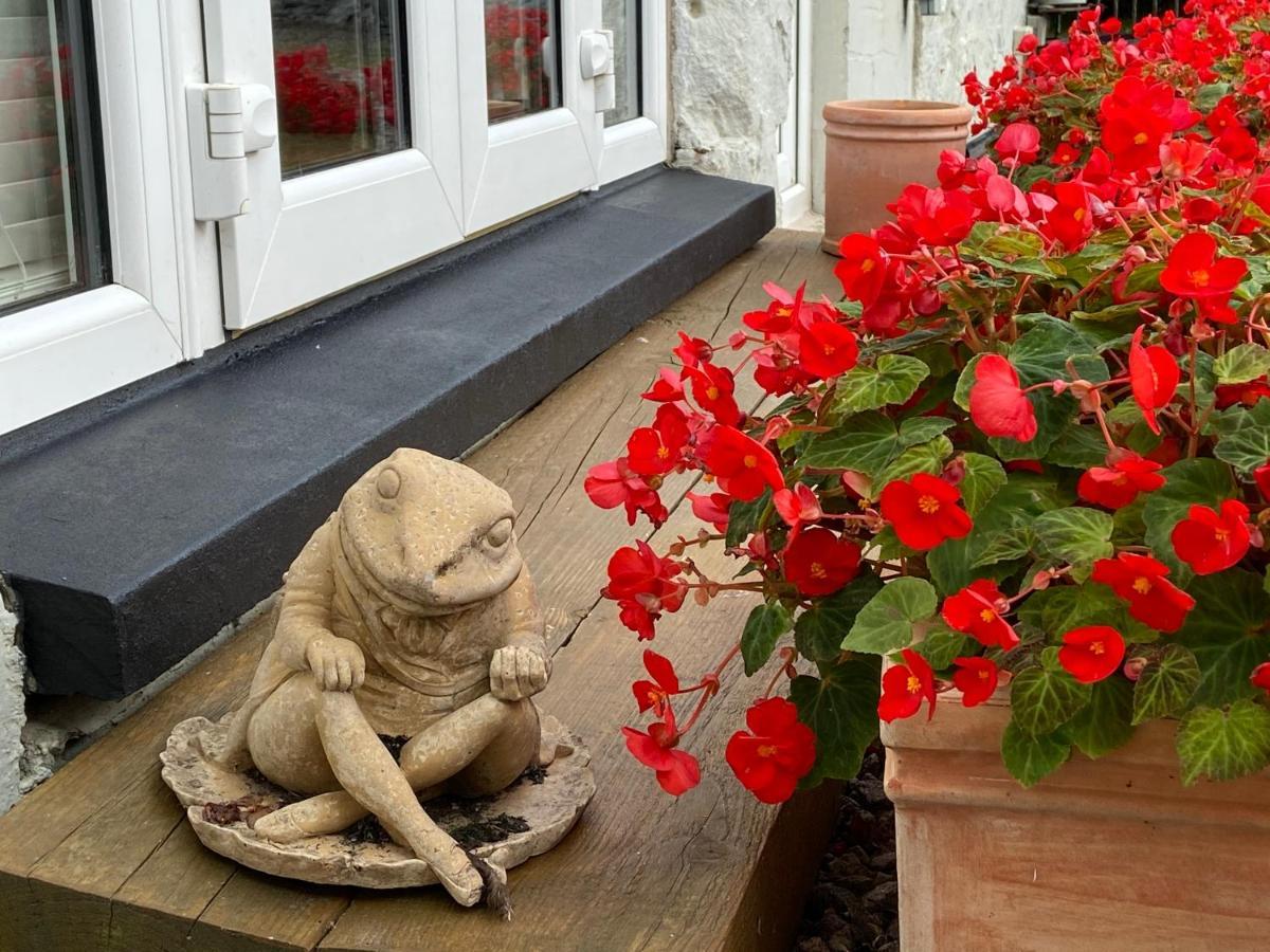 Toadhall Rooms Muchalls Dış mekan fotoğraf