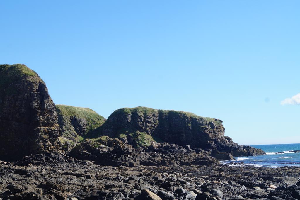 Toadhall Rooms Muchalls Dış mekan fotoğraf